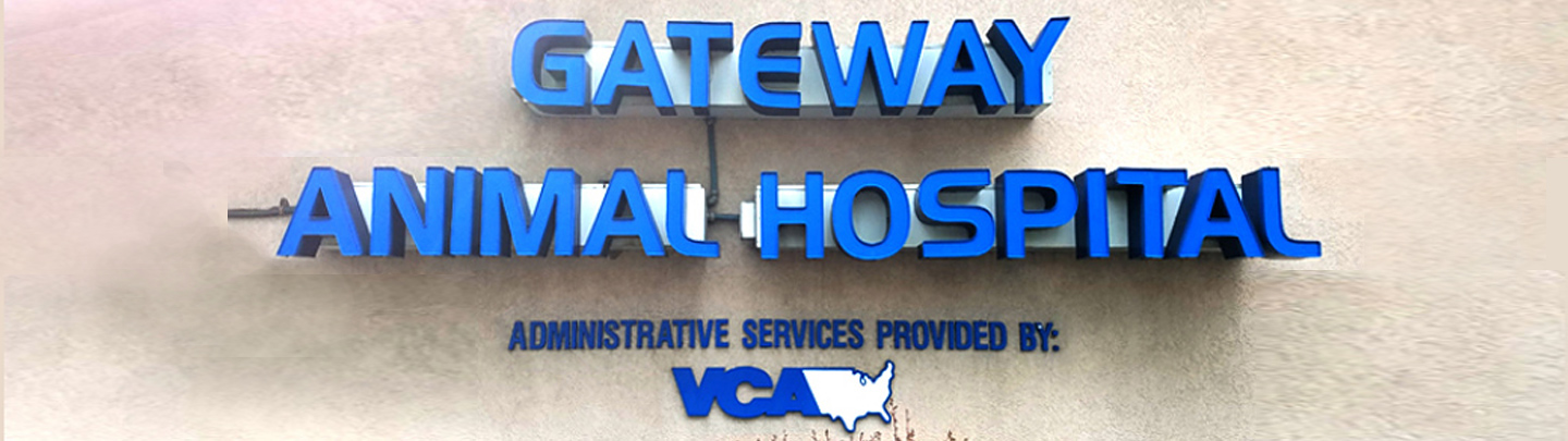 /-/media/2/vca/images/hospitals/united-states/new-york/gateway/staff/1440x405_gatewayny_team2.ashx